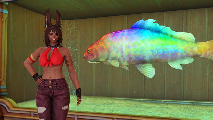 Fish
